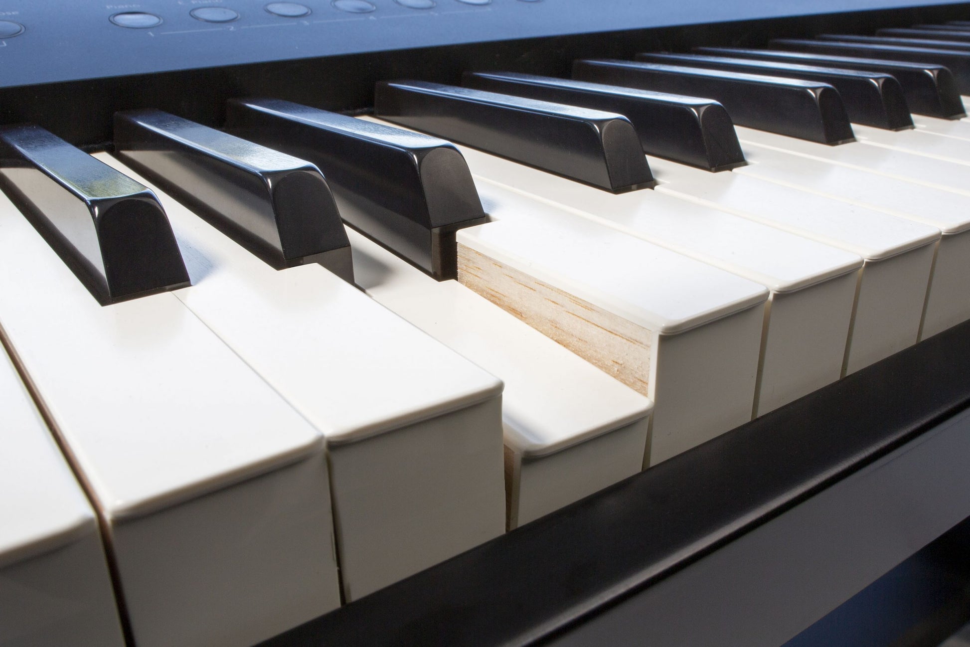 FP-90x_RealFeel-KeyBoards_045A5836