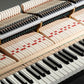 GL-30 Aures 2 Baby Grand Hybrid