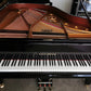 August Förster M190 Grand Piano_2